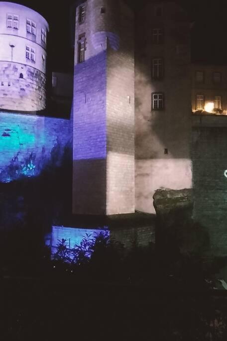 Appartement Au Pied Du Chateau Montbéliard Eksteriør bilde